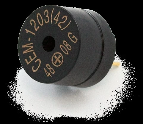 Polarised buzzer